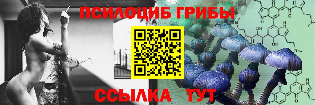 Всеволожск  Галлюциногенные грибы GOLDEN TEACHER  где можно купить наркотик  Вход с VPN 