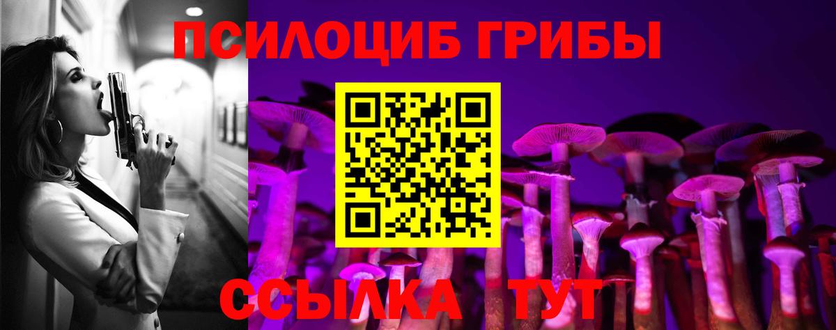 Галлюциногенные грибы Psilocybe Всеволожск